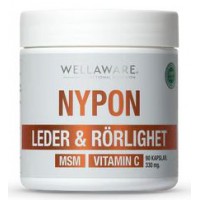 WellAware Nypon + MSM + Vitamin C Kapsel, 90 st - kosttillskott för human