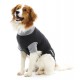 Buster Body Suit Classic Hund