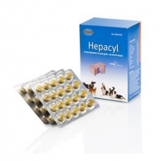 Hepacyl 60 tabletter - för leverhälsa