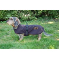 ReDog® Hundtäcke, special för Tax - Kampanj 10% rabatt
